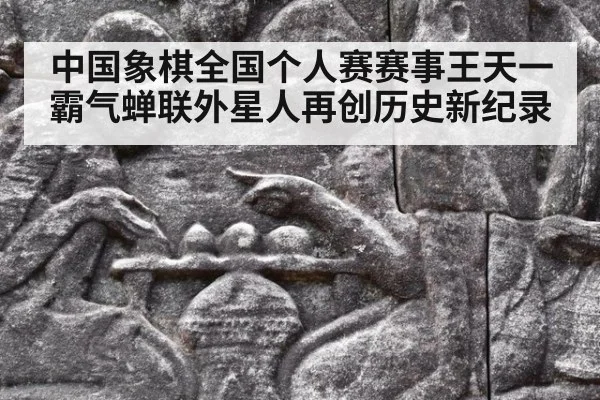 中国象棋全国个人赛赛事王天一霸气蝉联外星人再创历史新纪录